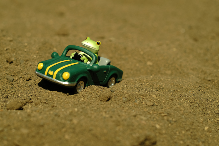ツバキアキラが撮ったカエルのコポー。砂の上を車で疾走するコポタロウ。