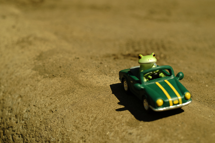 ツバキアキラが撮ったカエルのコポー。灼熱の砂の上を車で走るコポタロウ。