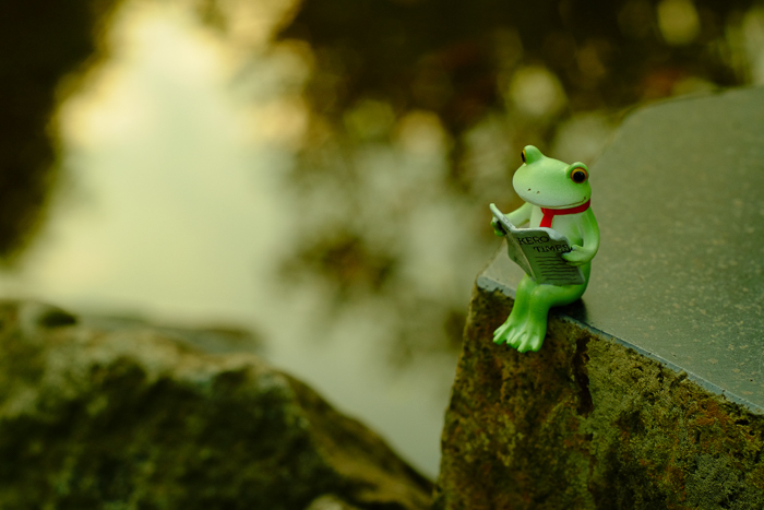ツバキアキラが撮ったカエルのフィギュア、コポー。岩の上に座って、新聞で経済の動向を探っているコポタロウ。