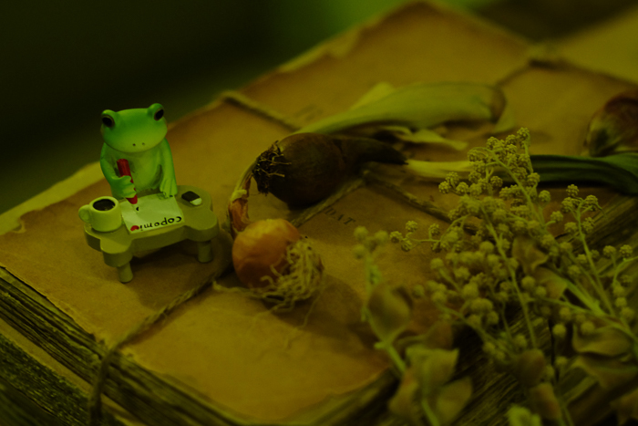 ツバキアキラが撮ったカエルのフィギュア、コポー。お花の前で手紙を書きながら、香りも一緒に届いたらいいのに、と思っているコポタロウ。