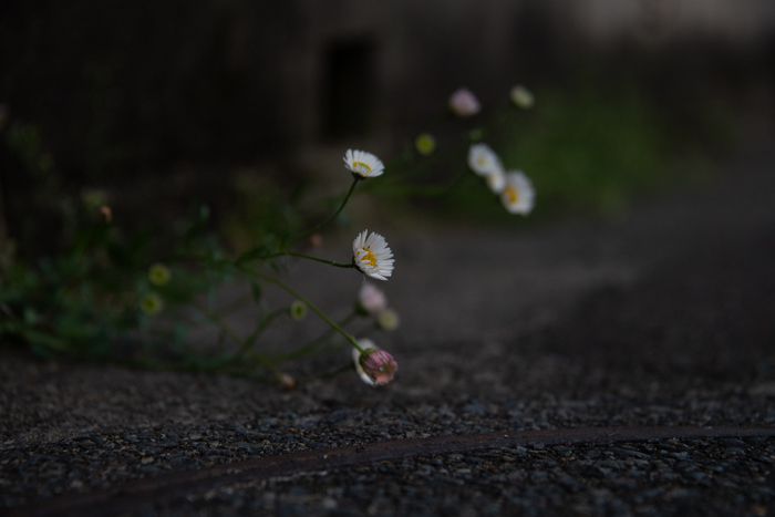 coLALNikon D850ŎBAHT̉ԁB