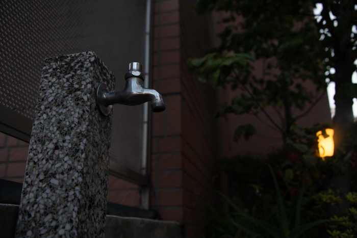 coLALNikon D850ŎBAŌ֌̎ʐ^B