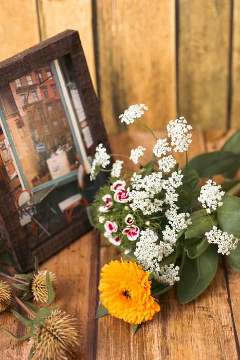coLALNikon D810ŎBALZJ̉ԑB