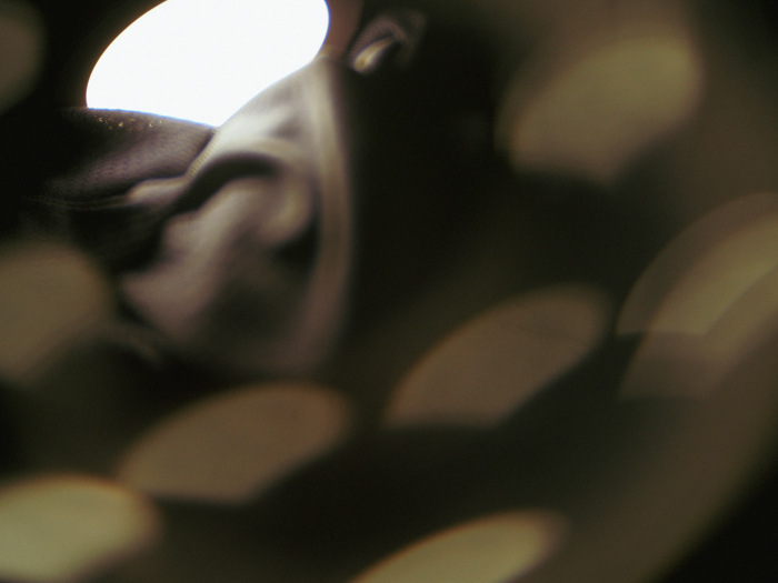 ツバキアキラがOlympus PEN Lite E-PL7に宝石レンズのIlluminarレンズをつけて撮った、抽象画のような写真。