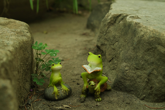 ツバキアキラが撮ったカエルのフィギュア。いつもは川が流れている岩の陰で本を読んで貰っているカエルさん。