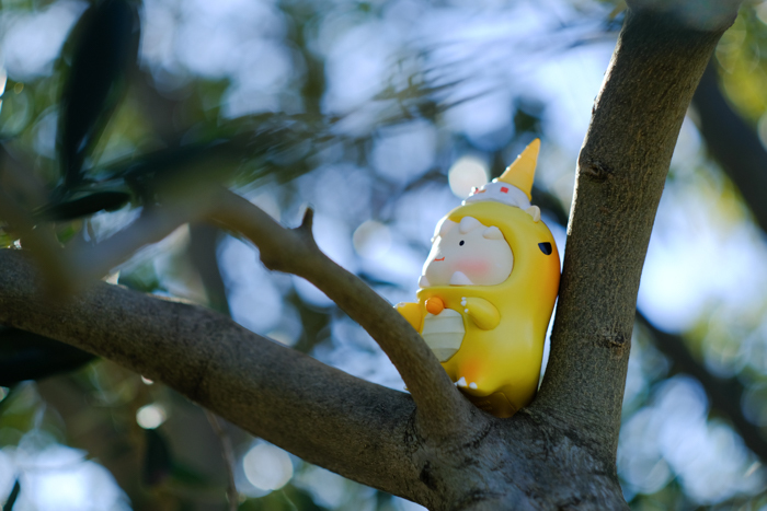 ツバキアキラが撮った、DODOLO。ノシノシと木登りをするDODOLO。
