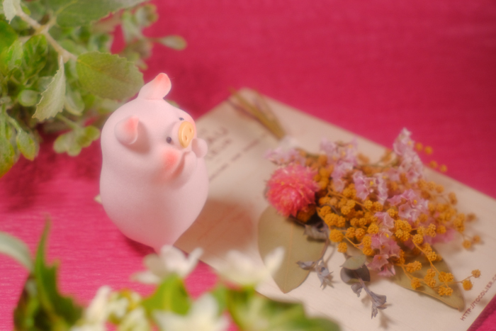 ツバキアキラが撮った、子豚のLuLu。ピンクの背景に、ピンクのお花を添えて、ピンクの子豚のLuLu。